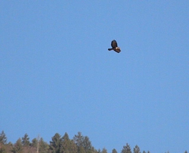 dalla finestra di casa...